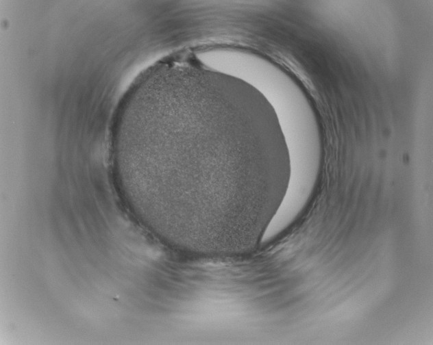 X0000088840724200707051447