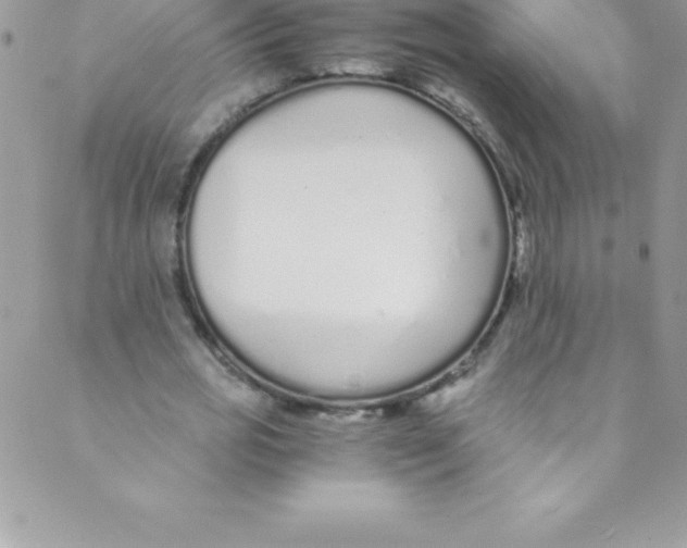 X0000088840725200707051447