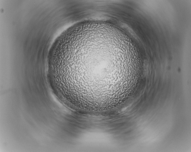 X0000088840726200707051447