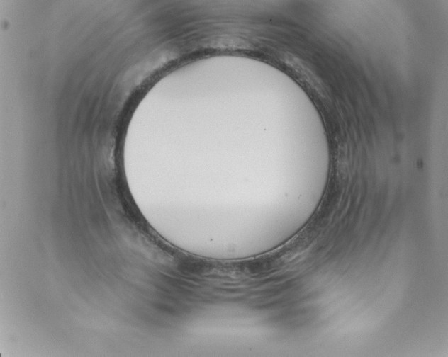 X0000088840727200707051447