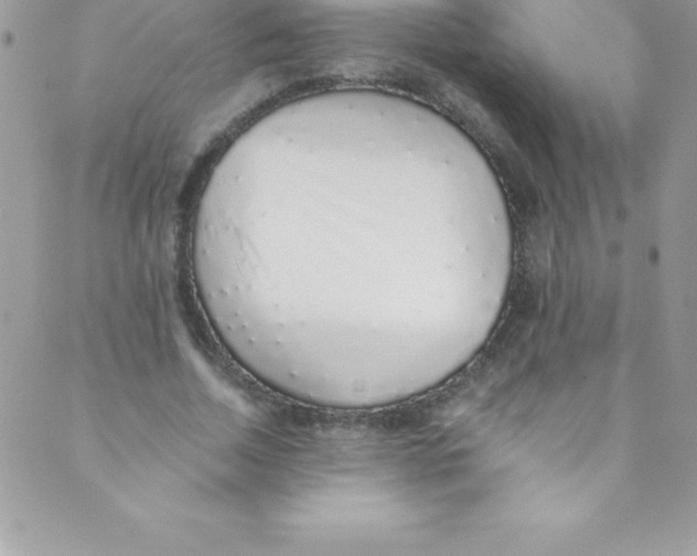 X0000088840730200707051447