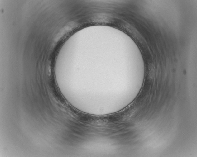 X0000088840731200707051447