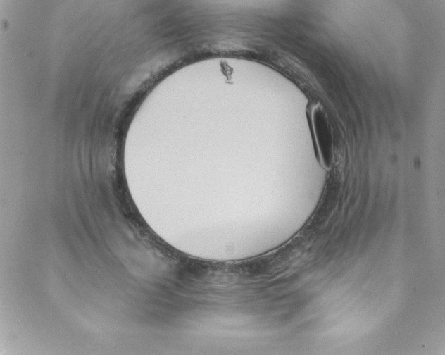 X0000088840732200707051447