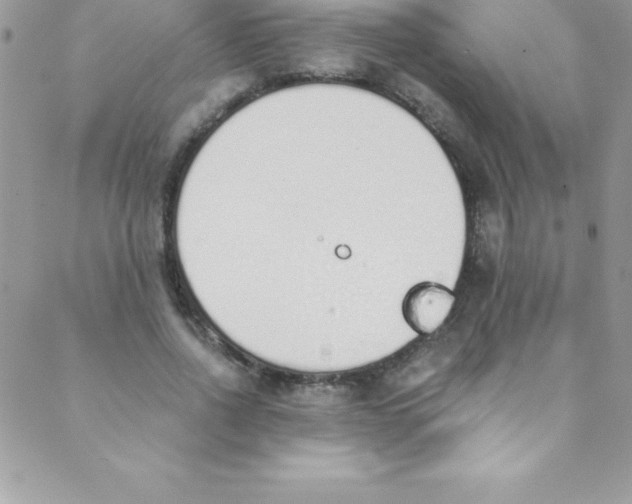 X0000088840734200707051447