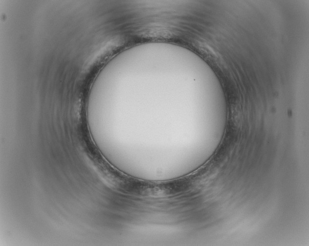 X0000088840735200707051447