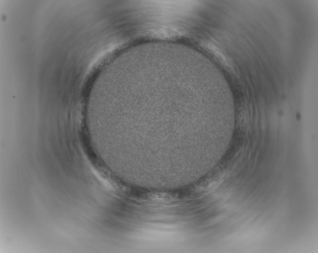 X0000088840736200707051447