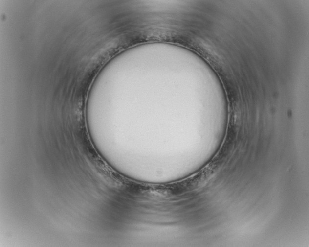 X0000088840737200707051447