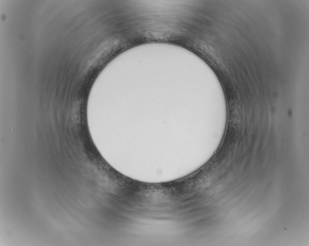 X0000088840738200707051447