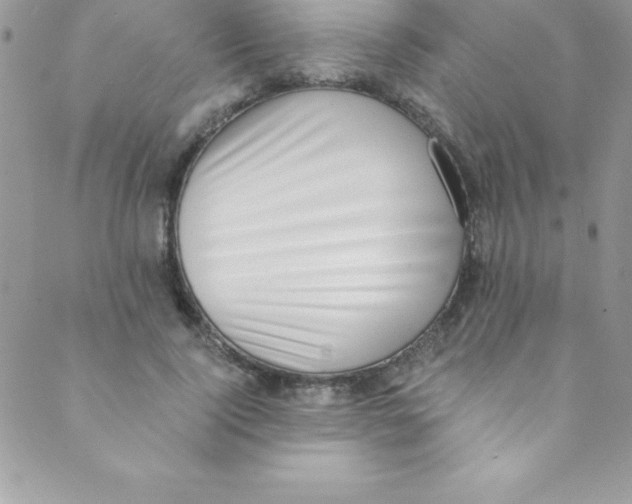 X0000088840740200707051447