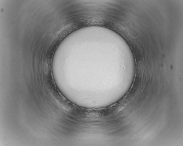 X0000088840741200707051447