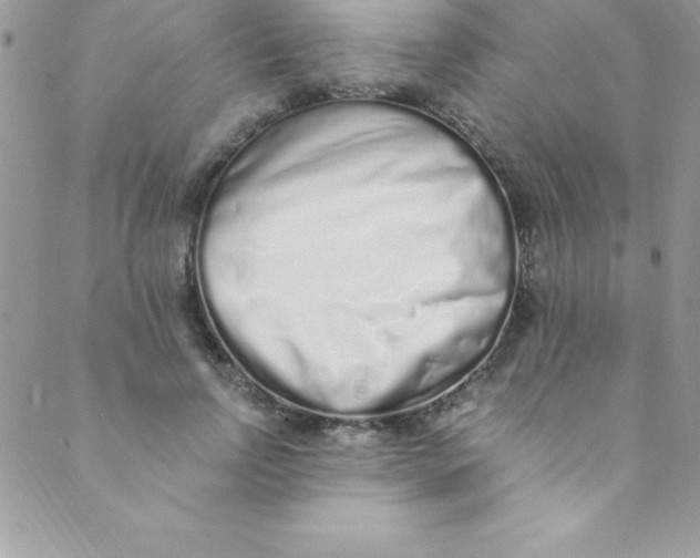 X0000088840742200707051447