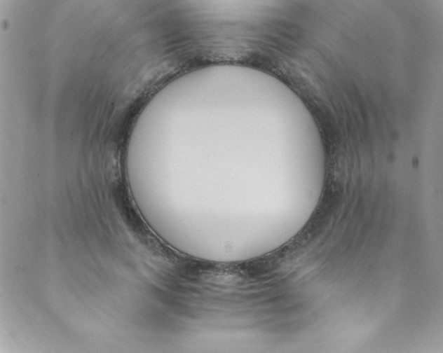 X0000088840743200707051447