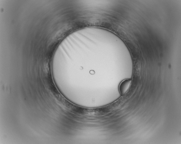 X0000088840746200707051447