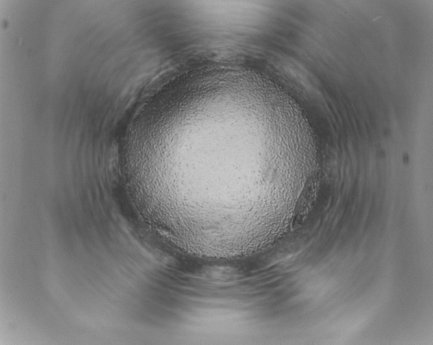 X0000088840748200707051447