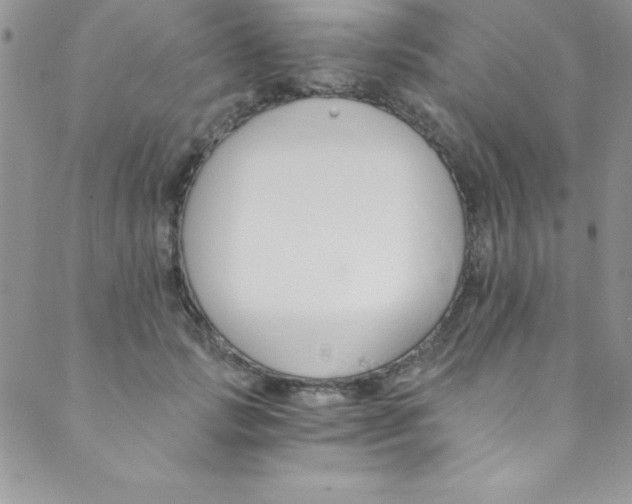 X0000088840749200707051447