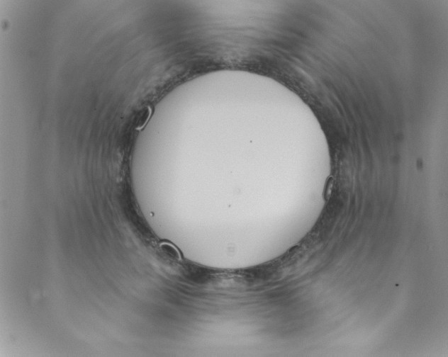 X0000088840750200707051447