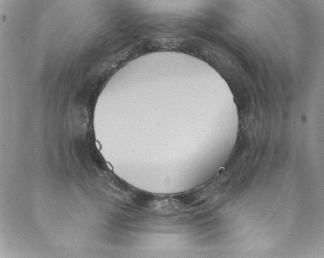 X0000088840752200707051447