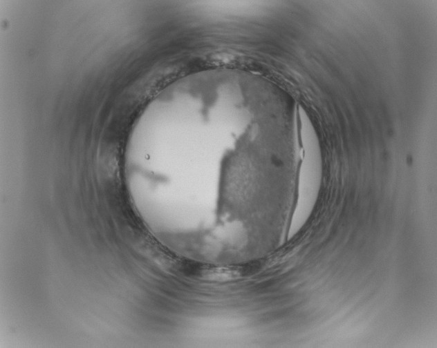 X0000088840754200707051447