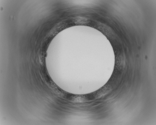 X0000088840755200707051447