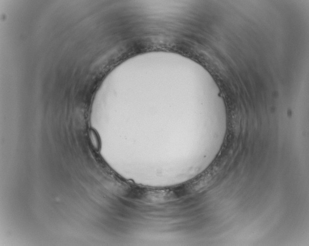 X0000088840757200707051447