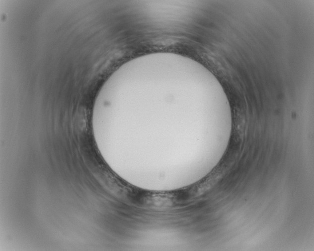 X0000088840758200707051447