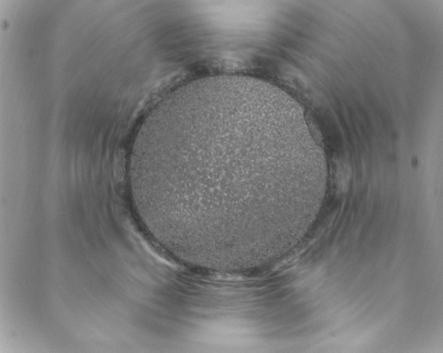 X0000088840760200707051447