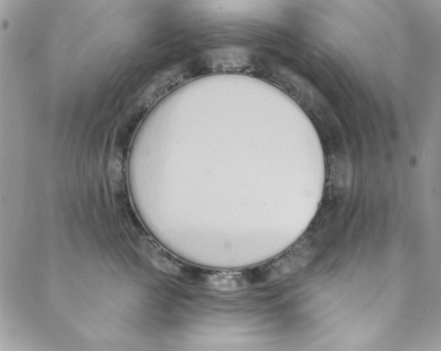 X0000088840761200707051447