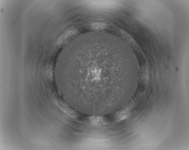 X0000088840762200707051447