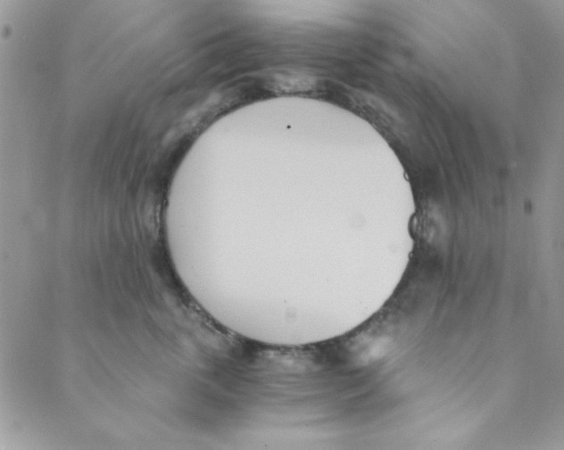 X0000088840763200707051447