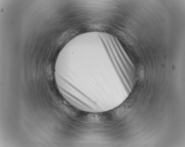 X0000088840764200707051447