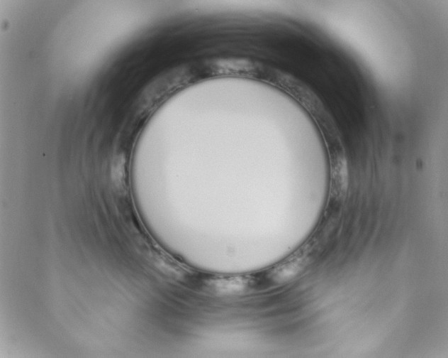 X0000088840765200707051447