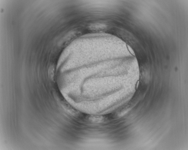 X0000088840767200707051447