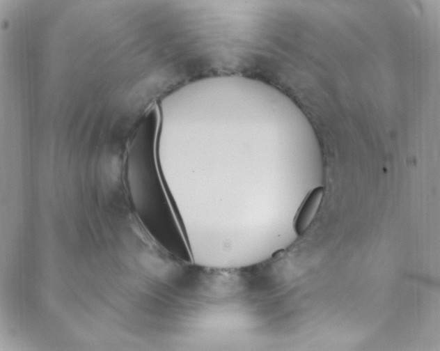 X0000088840768200707051447