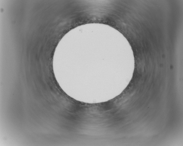 X0000088840769200707051447