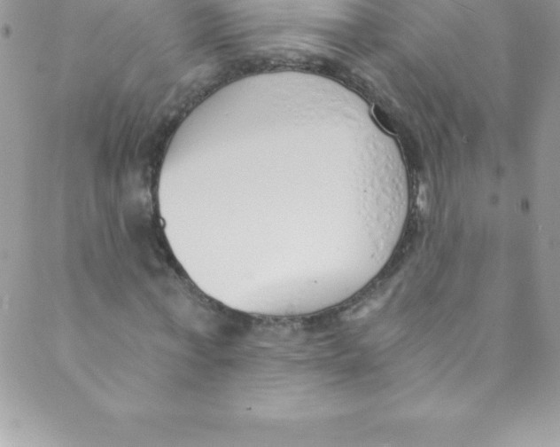 X0000088840771200707051447