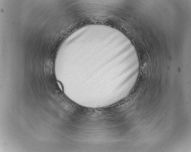 X0000088840772200707051447