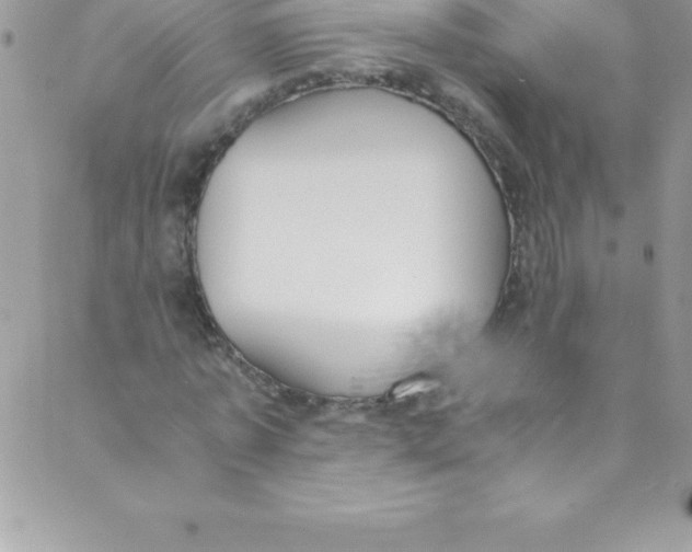 X0000088840773200707051446