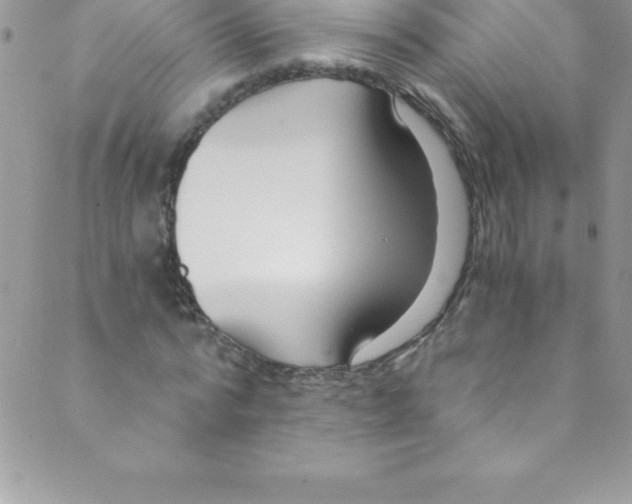 X0000088840776200707051446