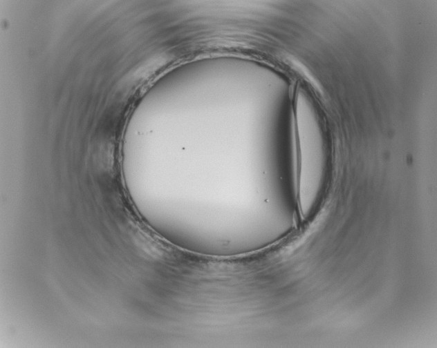 X0000088840777200707051446