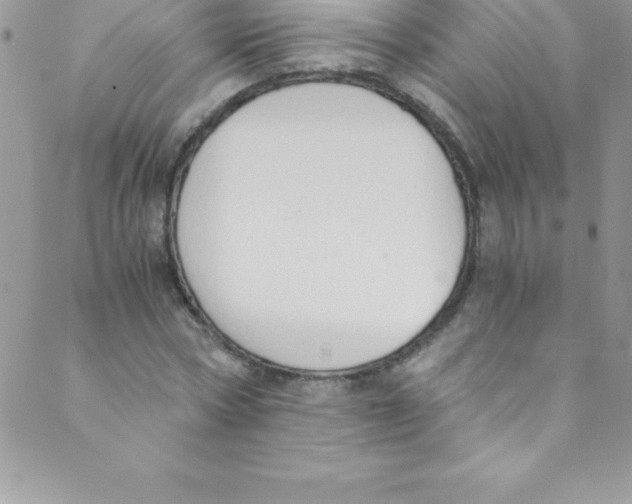 X0000088840778200707051446