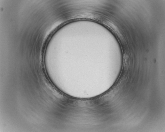 X0000088840780200707051446