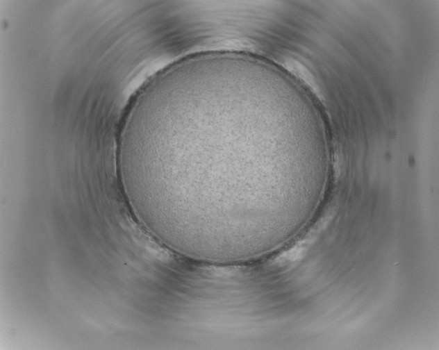 X0000088840781200707051446