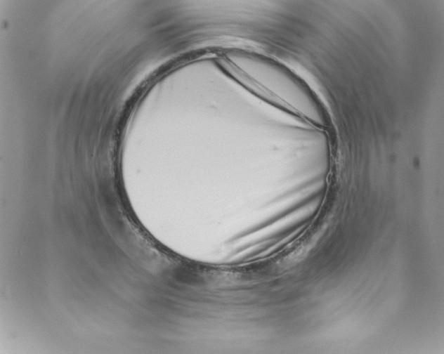 X0000088840783200707051446