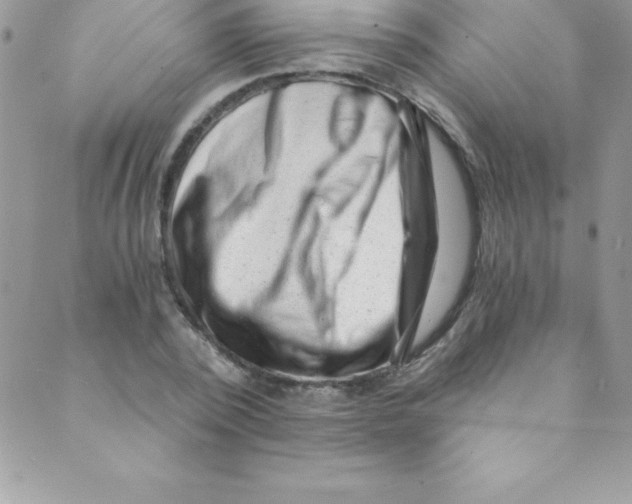 X0000088840784200707051446