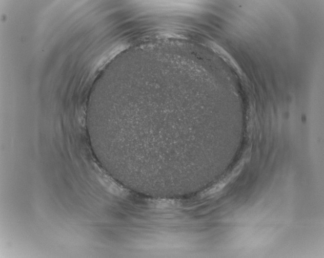 X0000088840785200707051446