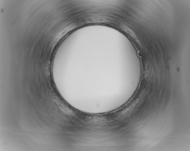 X0000088840786200707051446