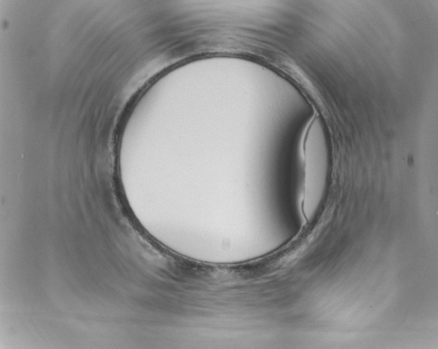 X0000088840787200707051446