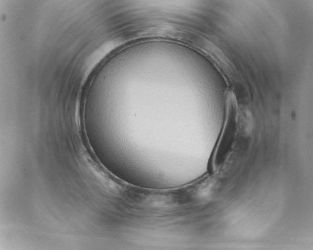 X0000088840788200707051446