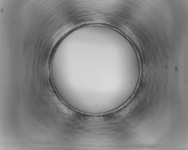 X0000088840789200707051446