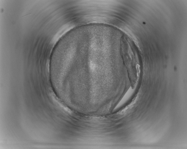 X0000088840790200707051446